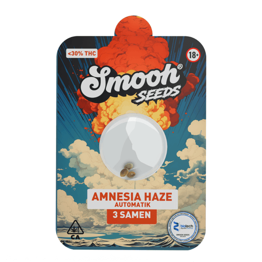 AMNESIA HAZE AUTOMATIK